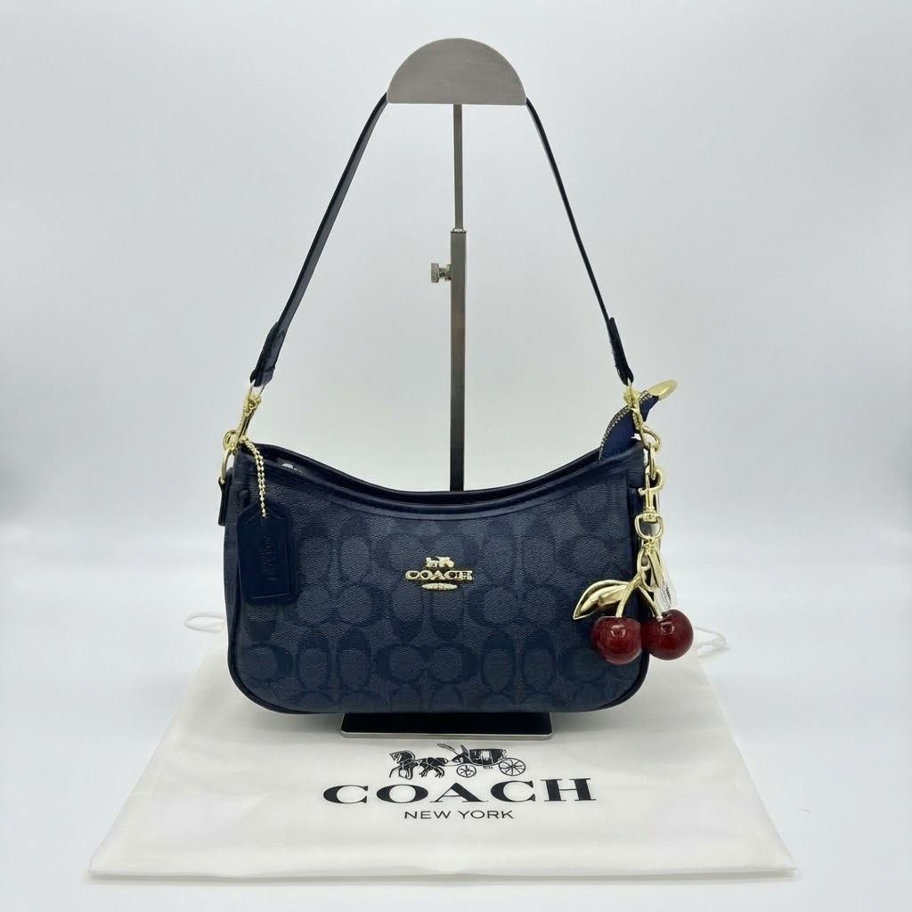 Bolso Coach